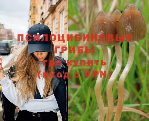 марки lsd Новокубанск