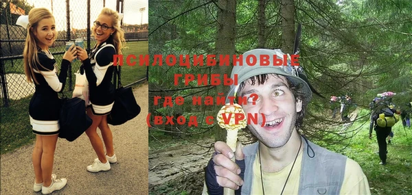 мяу мяу мука Новозыбков