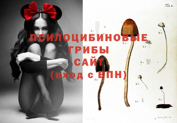 гидра Белая Калитва