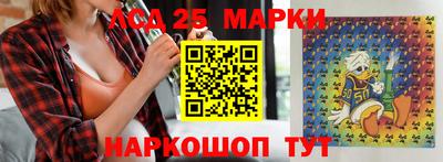 мдпв Камышлов