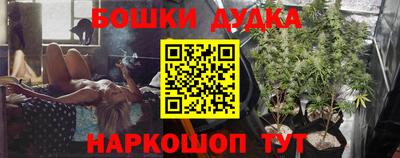 гашик Кандалакша