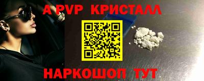 мдпв Камышлов