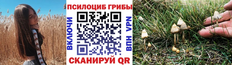 Галлюциногенные грибы мухоморы  продажа наркотиков  Прокопьевск 