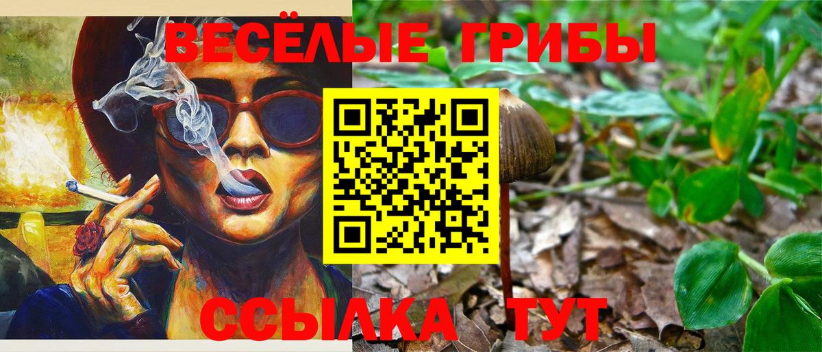 Галлюциногенные грибы мухоморы  Вход с VPN  где купить наркотик  Прокопьевск 